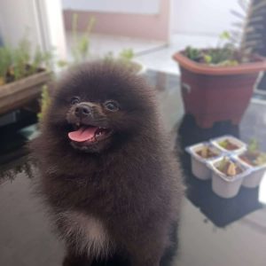 import placeholder for 4419