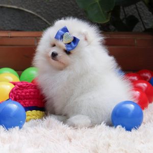 import placeholder for 4349